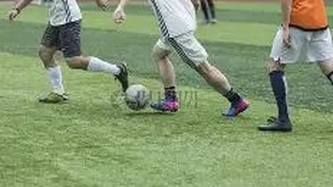 od体育 资讯 120205 zqm