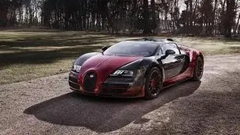 od体育 资讯 095119 dog