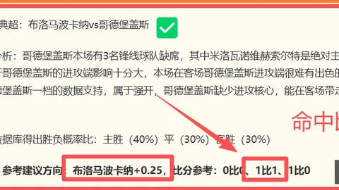 体育 103513 0